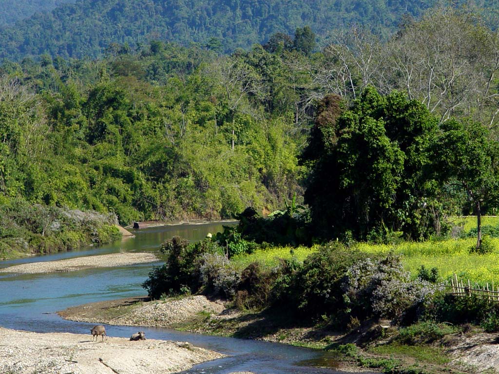 Kachin Landscape