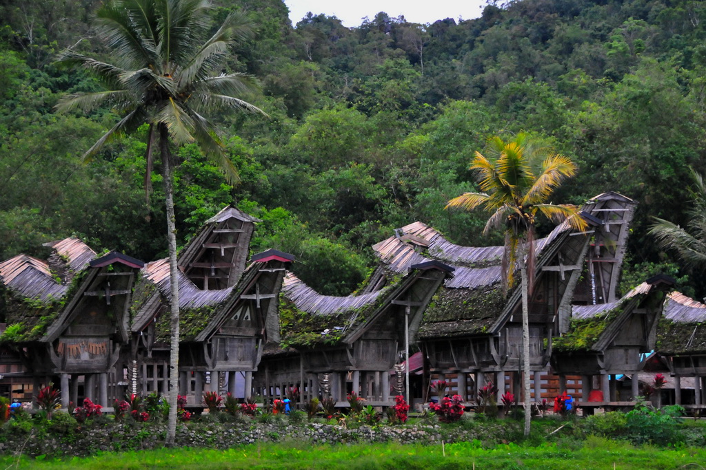 Traditional Village, Toraja