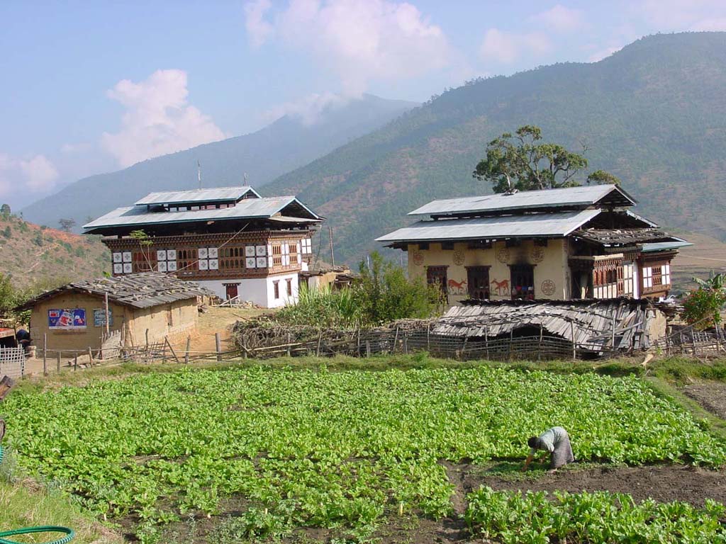 Farmhouses Punakha