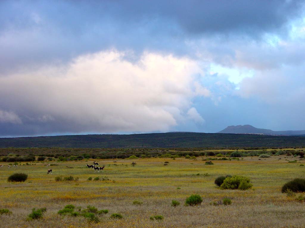 Bushman's Kloof Reserve