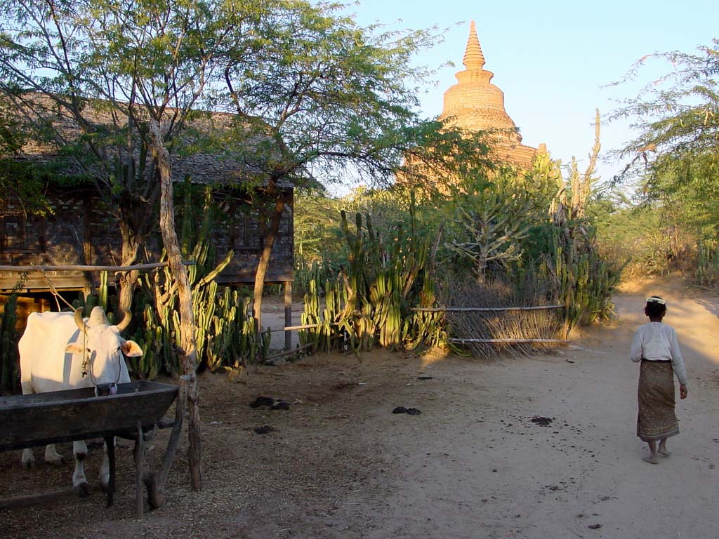 Bagan Village