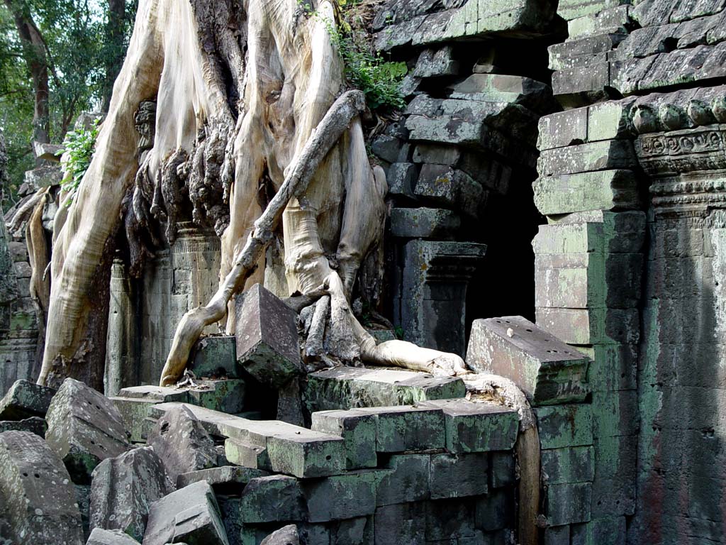 Ta Prohm