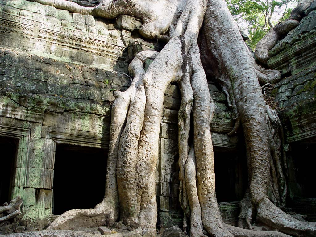 Ta Prohm