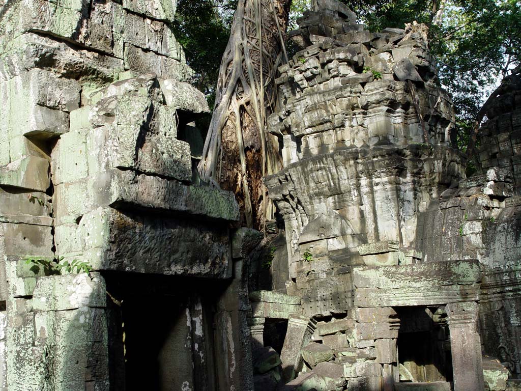 Ta Prohm