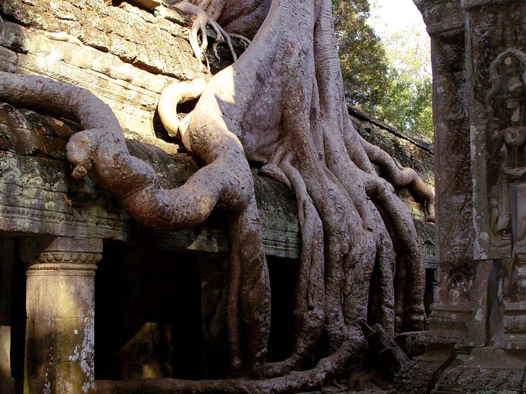 Ta Prohm