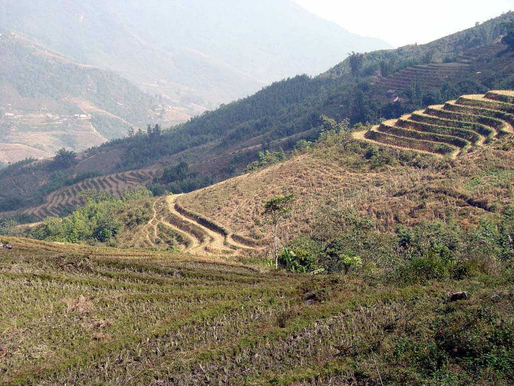 Sapa Region Landscape
