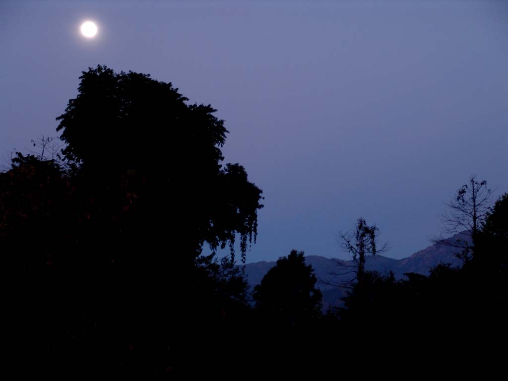 Evening (Kachin Hills)