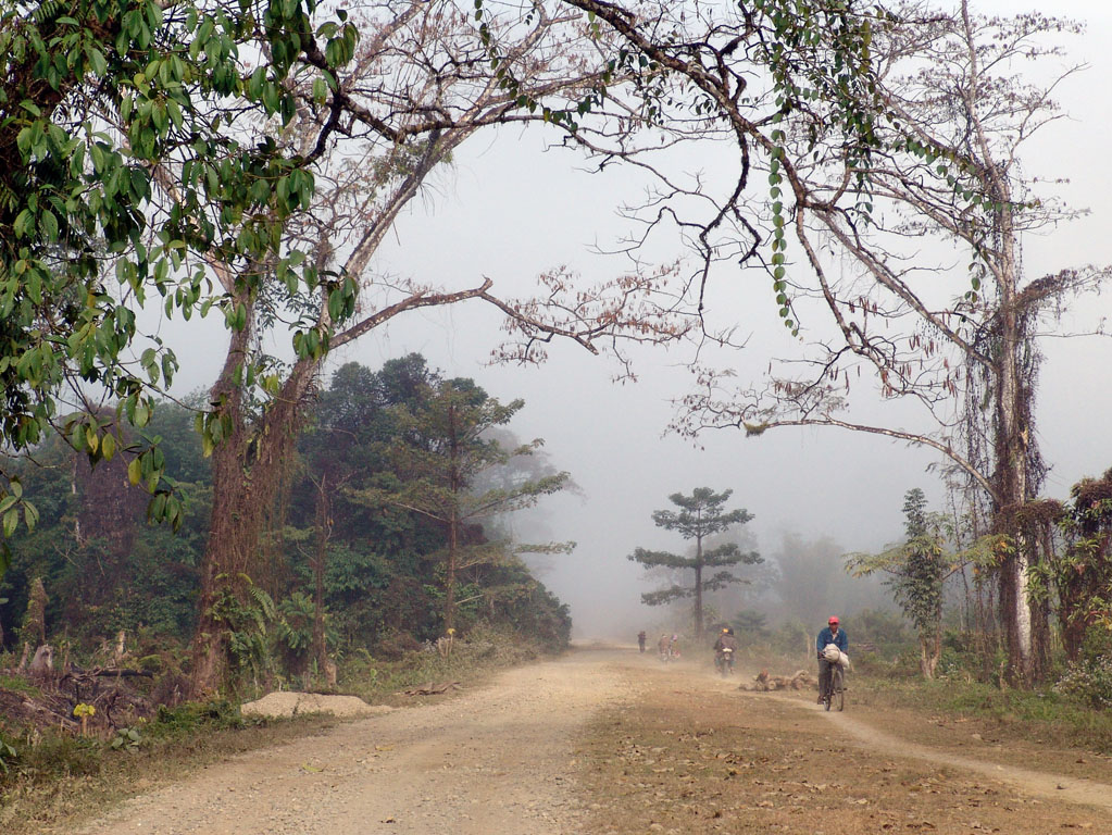 Ledo Road, Tanaing