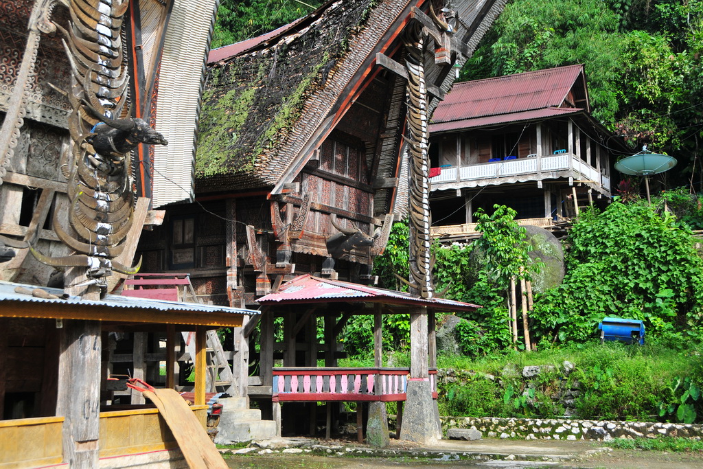Traditional Houses, Toraja